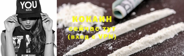 сатива Зеленокумск