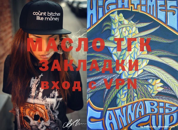 мдпв Каменка