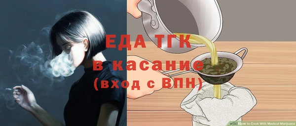 мдпв Каменка