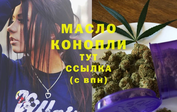 мдпв Каменка