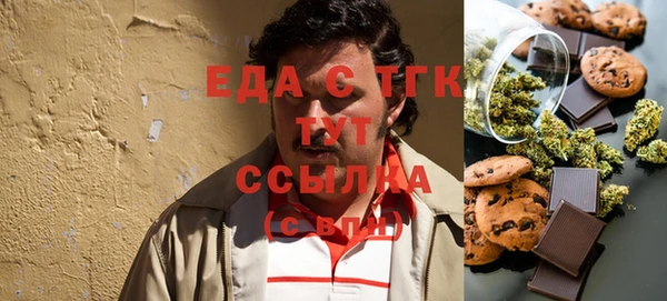 мдпв Каменка