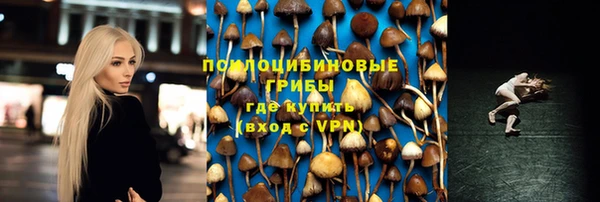 ешки Карпинск