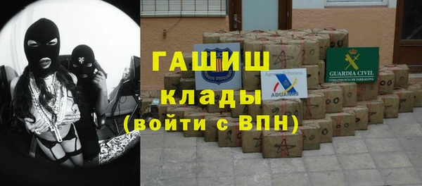 мдпв Каменка