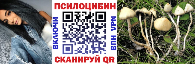 Псилоцибиновые грибы ЛСД  Кологрив 